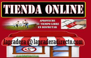 TIENDA ONLINE