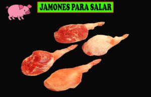 JAMONES PARA SALAR
