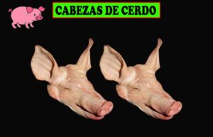 CABEZAS DE CERDO